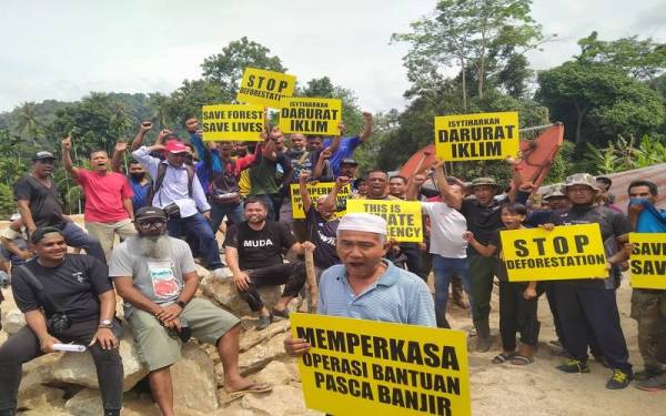 Sebanyak 36 NGO berhimpun di Kampung Iboi bersama penduduk mendesak agar projek ladang durian musang king dihentikan serta-merta.