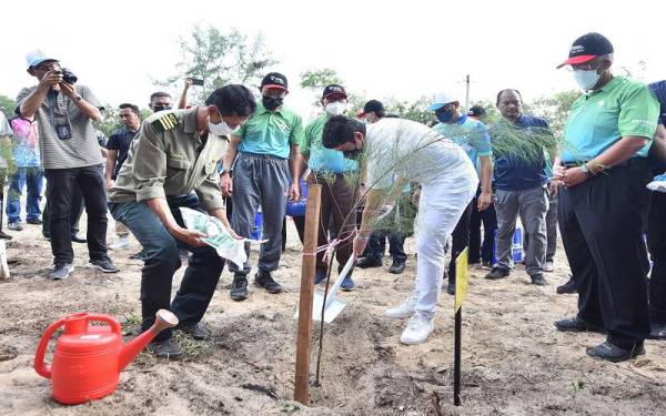 Pemangku Raja Pahang, Tengku Mahkota Tengku Hassanal Ibrahim Alam Shah Ibni Al-Sultan Abdullah Ri’ayatuddin Al-Mustafa Billah Shah (berpakaian serba putih) turut menanam anak pokok rhu ketika menyempurnakan Program Pemulihan Ekosistem Zon Penampan Majlis Bandaraya Kuantan, pada Isnin lalu.