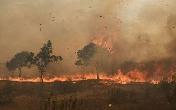 Hutan terbakar akibat cuaca terlampau panas di Sepanyol baru-baru ini. - Foto AFP