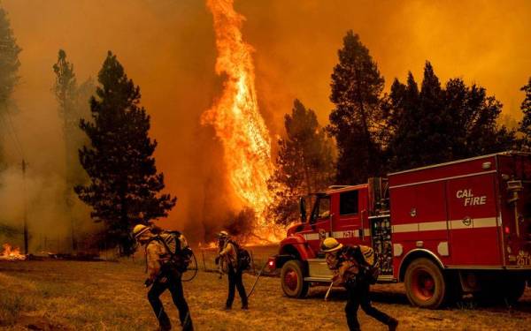 Anggota bomba bertungkus lumus memadam kebakaran hutan oak di California yang tercetus sejak Jumaat lalu.