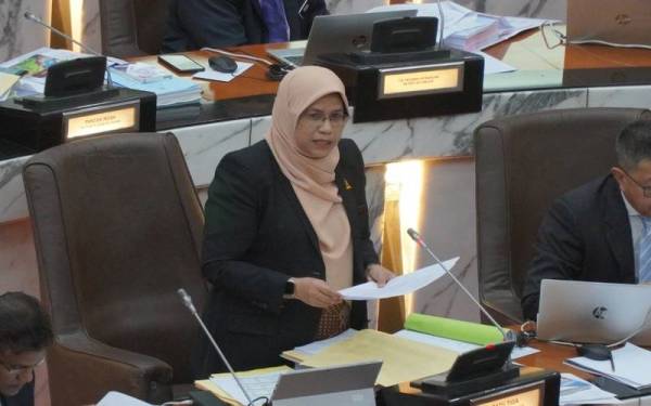 Rodziah semasa menjawab soalan Mohd Imran pada Sidang DUN pada Selasa.