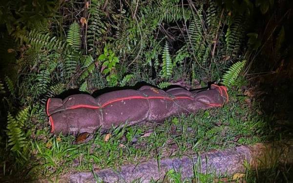 Seorang lelaki ditemukan mati dalam keadaan mayatnya dibungkus dengan selimut dan diikat menggunakan tali di kolam air panas Lojing, Gua Musang pada Ahad.