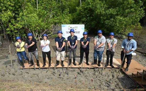 Barisan pengurusan UMW dan UMWT yang menyertai program penanaman pokok bakau di Taman Alam Kuala Selangor pada Sabtu.