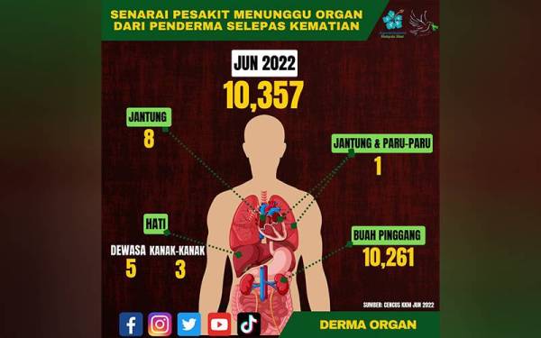 Foto: Facebook Derma Organ