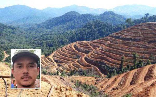 Kawasan Gunung Inas yang telah diratakan. Gambar kecil: Mohd Sobri Ramlee