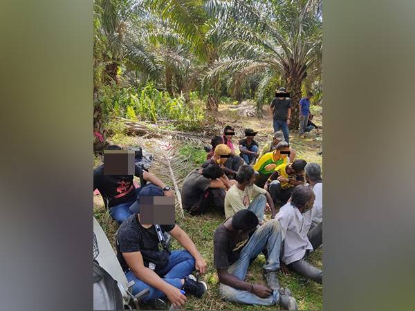 Polis Johor menerusi Ops Tapis selama tiga hari menahan pengedar dan penagih dadah di kawasan Felda seluruh negeri.