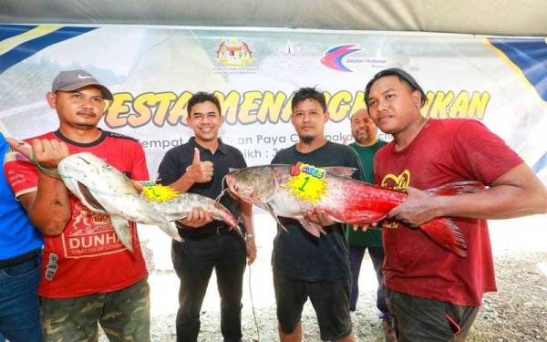 Amirul (kanan) menunjukkan ikan tongsan seberat 11 kilogram yang berjaya dinaikkannya ketika pesta menangkap ikan di Estet Ikan Paya Chempaka Lanchang pada Ahad