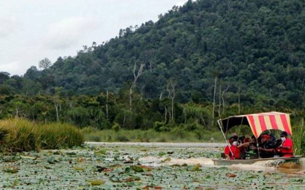 Penarikan taraf rizab biosfera bermakna Tasik Chini akan hilang pengiktirafan bertaraf dunia.