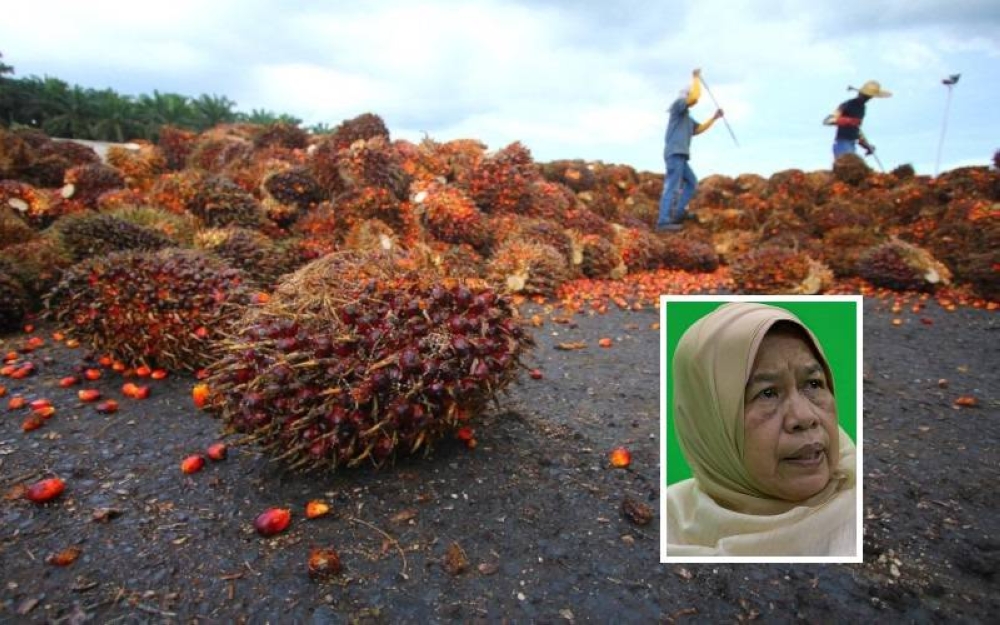 Malaysia bersedia penuhi permintaan India ke atas minyak sawit berikutan jangkaan bekalan tidak menentu dari Indonesia. (Gambar kecil: Zuraida)