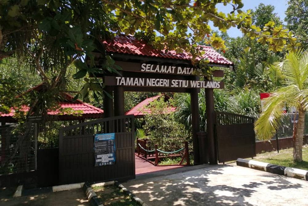 Taman Negeri Setiu Wetlands di sini, yang amat kaya dengan khazanah paya laut.