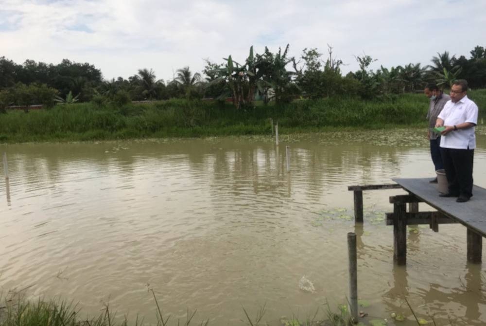 Presiden Angkatan Koperasi Kebangsaan Malaysia (Angkasa), Datuk Seri Dr Abdul Fattah Abdullah memberi makanan untuk ikan tilapia ketika lawatan kerja di tapak projek ternakan ikan air tawar diusahakan koperasi akuatani Pandan 2, pada Ahad.