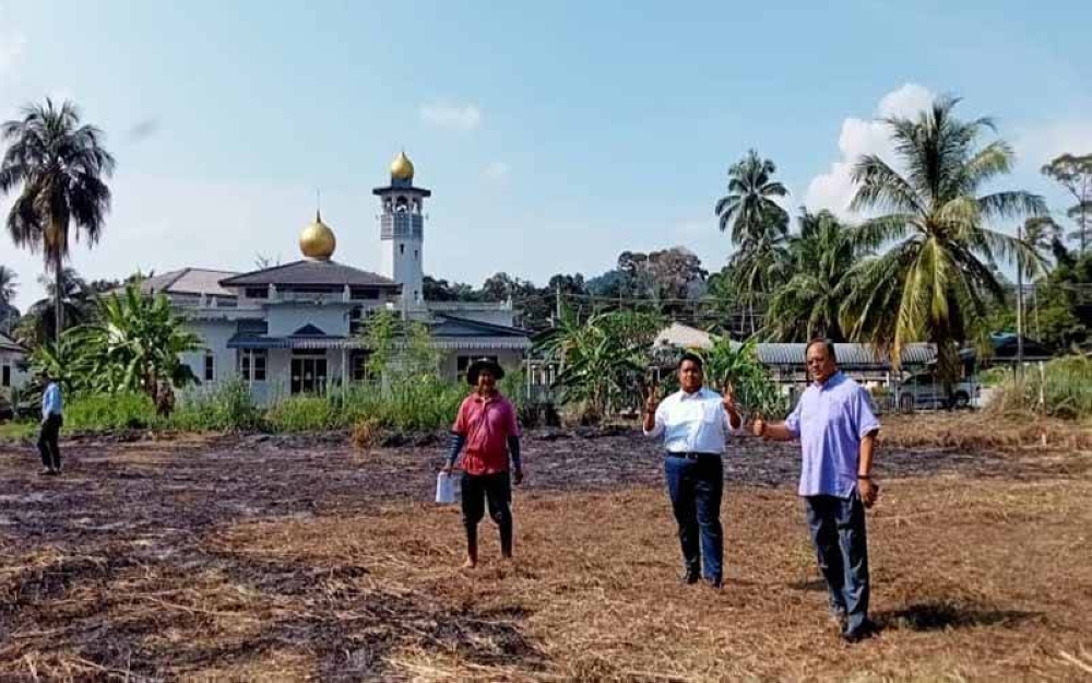 Tanah seluar dua hektar akan ditanam dengan 100 pokok kelapa pandan di Gunung Mesah, Gopeng sebagai salah satu projek pertanian GPMS Perak.