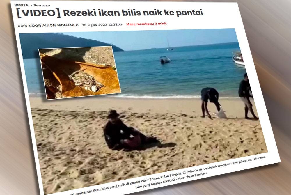 Laporan Sinar Harian