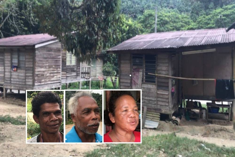 Penduduk di Kampung Satut, Pos Perwor, Sungai Siput hidup dalam ketakutan selepas sekumpulan gajah menceroboh kampung mereka sejak Ahad. Gambar kecil dari kiri: Nasir, Jamil, Tinah