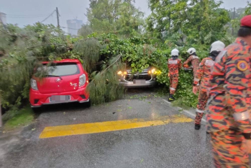 Pokok tumbang menghempap dua kenderaan di sekitar Kuala Lumpur, pada Isnin.