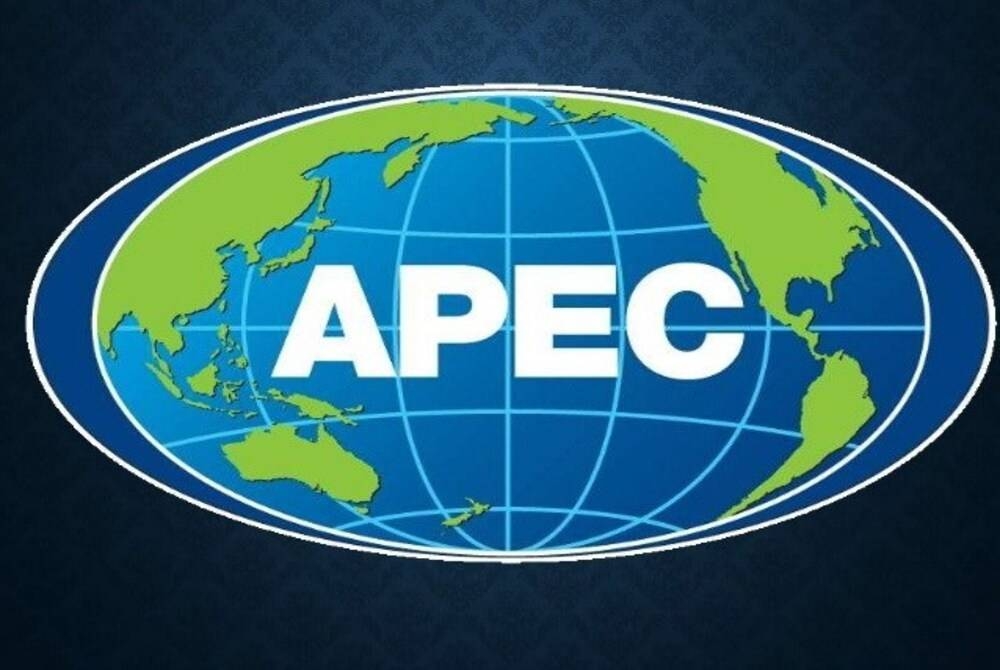 APEC menyedari keperluan untuk membangunkan instrumen antarabangsa baharu mengenai pencegahan, kesiapsediaan dan respons wabak bagi mengukuhkan Peraturan Kesihatan Antarabangsa (2005).