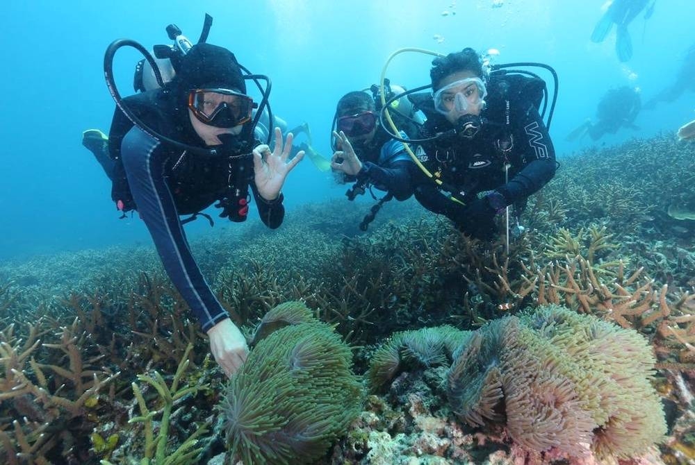 Pusat Selam Skuba UMT diiktiraf lima bintang oleh Scuba Diving International.