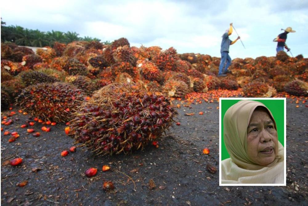 KPPK bertekad untuk terus berjuang melawan kempen antiminyak sawit demi memastikan nasib pekebun kecil terus terbela. (Gambar kecil: Zuraida)