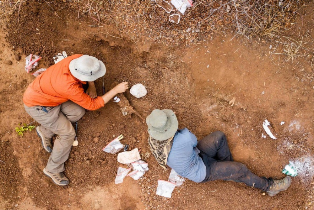 Gambar fail menunjukkan beberapa saintis melakukan kerja-kerja penggalian tulang dinosaur paling tua di Afrika di Zimbabwe. - Foto Murphy Allen/Virginia Tech University/AFP