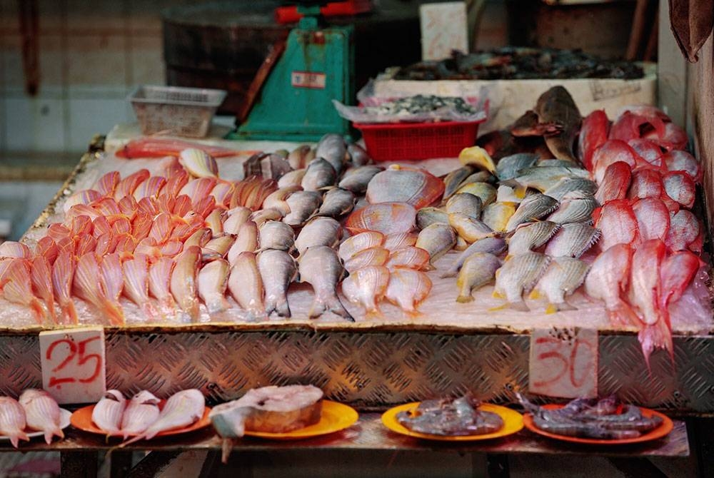 LKIM memberi jaminan bekalan ikan sepanjang perubahan Monsun Timur Laut yang dijangka berlaku dalam tempoh yang panjang mencukupi sekali gus mampu menampung permintaan penduduk di kawasan terlibat bermula pertengahan November. (Gambar hiasan) - Foto 123rf