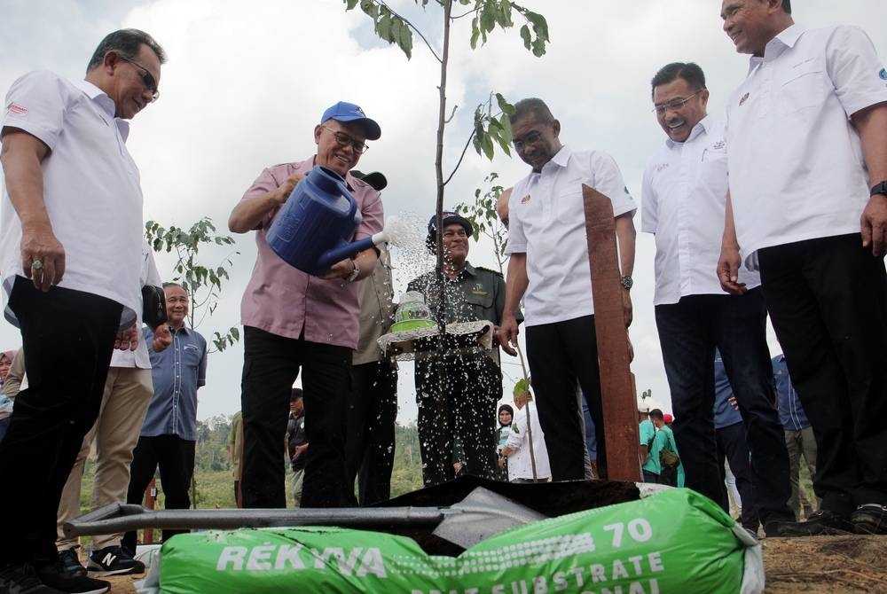 Takiyuddin (tiga, kanan) menyaksikan Wan Rosdy (lima, kanan) menyiram pokok jenis Merawan Siput Jantan yang ditanam pada Program Penanaman Pokok dan Penggayaan Tasik Chini pada Sabtu. - Foto Bernama