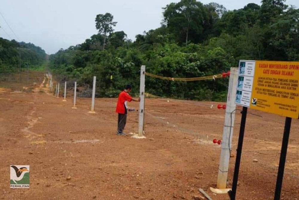 Sebanyak 18 SPEG telah dibina sejak 2009 bagi mengatasi konflik gajah dan manusia. - Foto Perhilitan