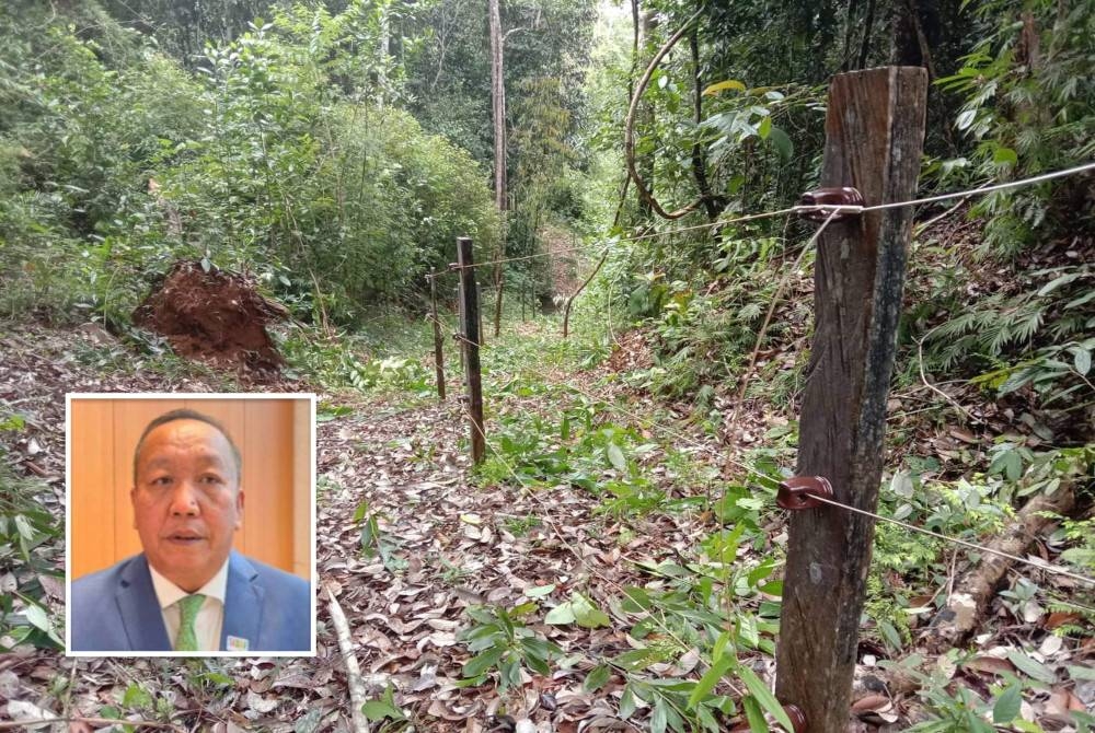 Pagar elektrik yang dipasang di kawasan penempatan gajah di Telupid. Gambar kecil: Jafry Ariffin