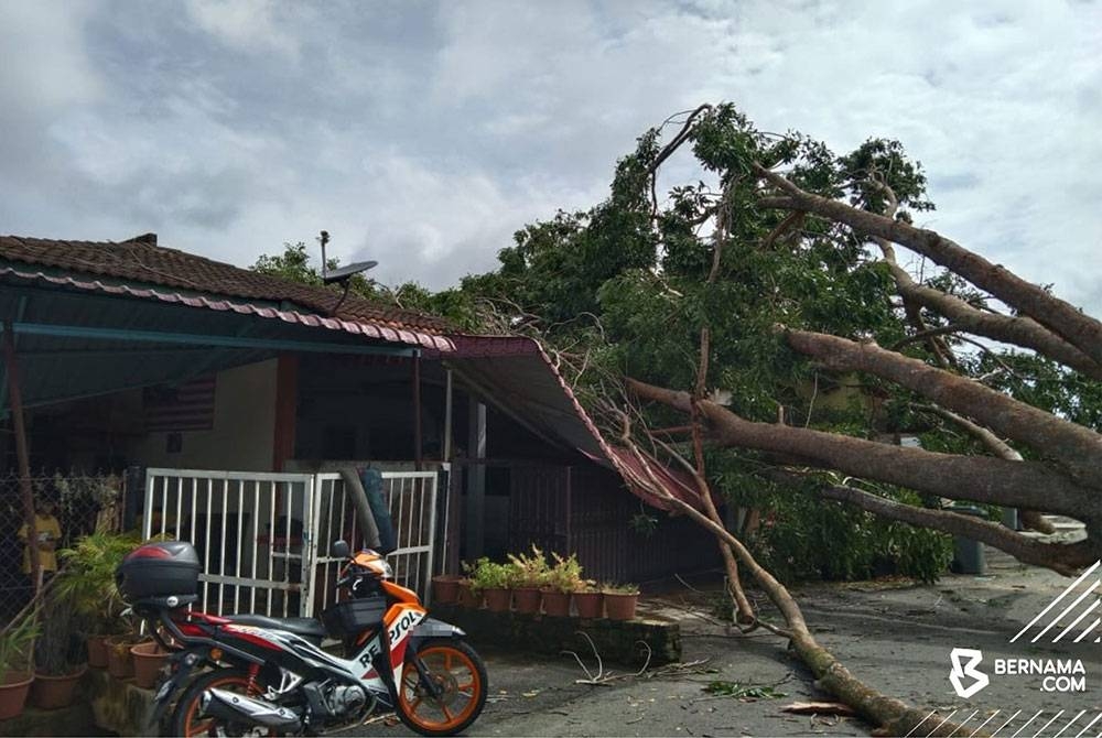 Lima rumah terjejas teruk apabila dihempap pokok yang tumbang dalam kejadian ribut dan hujan lebat di Taman Seri Telok Mas, yang berlaku pada jam 4 pagi Ahad. - Foto Bernama