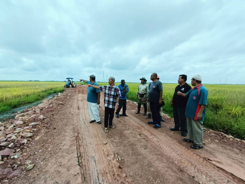 Pesawah di Kampung Benua dan Kampung Kebun Pinang di sini menunjukkan projek jalan ladang yang masih belum siap sepenuhnya ketika tinjauan Sinar Harian sebelum ini.