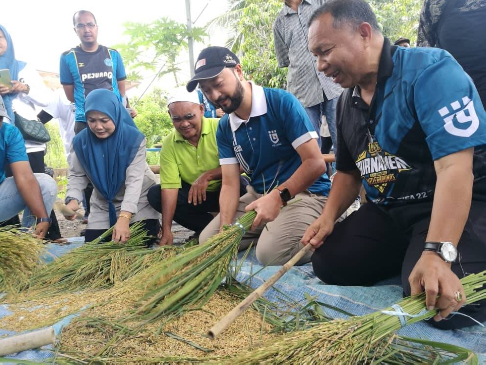 Mukhriz (dua dari kanan) mengetuk tangkai padi untuk meleraikan padi sebelum dijadikan emping.