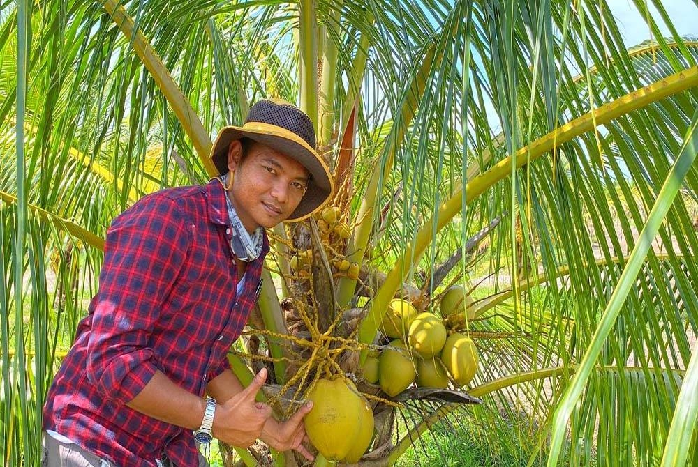 Minat mendalam dalam bidang pertanian mendorong Badrul Amin dari Kampung Gong Tengah, Pasir Puteh untuk bergelar tauke kelapa.