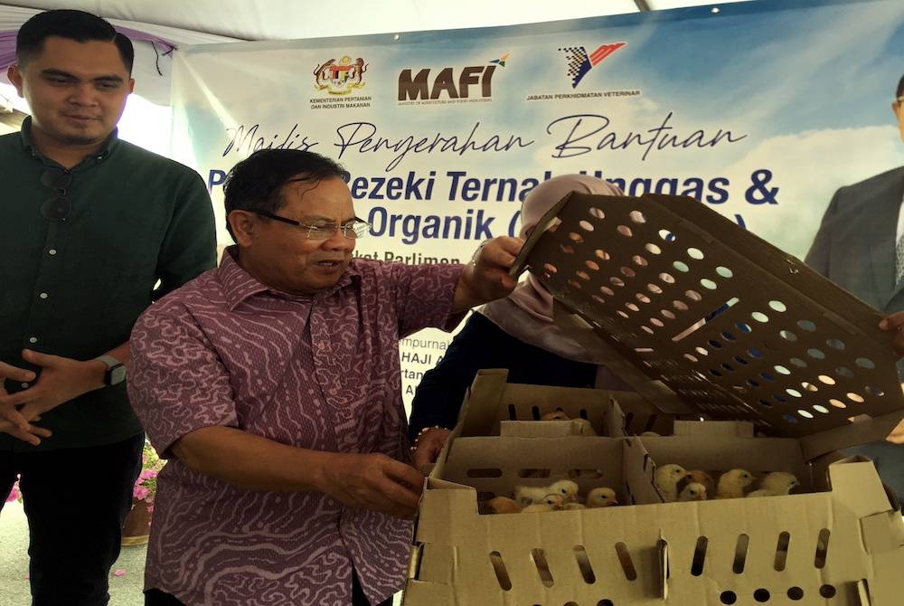 Ahmad (dua, kiri) melihat bekalan anak ayam ketika hadir sempena merasmikan Majlis Penyerahan Bantuan Program Rezeki Ternak Unggas dan Projek Pertanian Organik Peringkat Parlimen Jasin di Merlimau pada Sabtu. - Foto Bernama