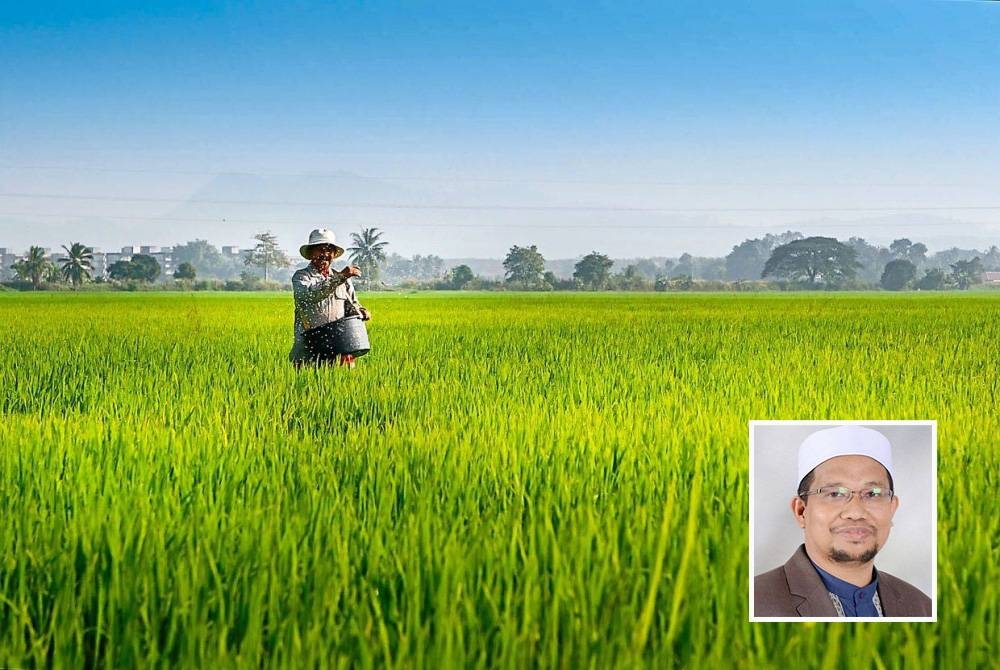 Pelan persediaan banjir MADA untuk hadapi fenomena La Nina diharap dapat meminimumkan kerosakan padi termasuk harta benda. Gambar kecil: Ahmad Tarmizi