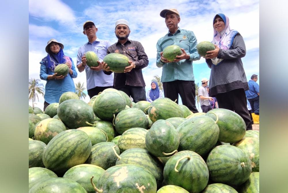 Nik Muhammad Zawawi (tengah) melihat hasil tembikai yang ditanam melalui Program &#039;Walkabout&#039; Timbalan Menteri Pertanian dan Industri Makanan II ke Projek Tanaman Sayur-Sayuran Kampung Batu Berendam dan Projek Tembikai Kampung Haji Wan Omar, Pasir Putih pada Rabu.