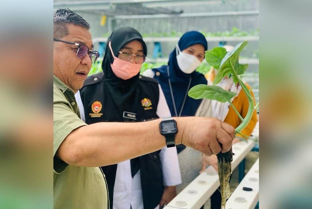 Mohd Zulkifli tekad menjadikan Bachok sebagai pusat pengeluaran sayur organik jika diberi mandat sebagai wakil rakyat pada PRU15.