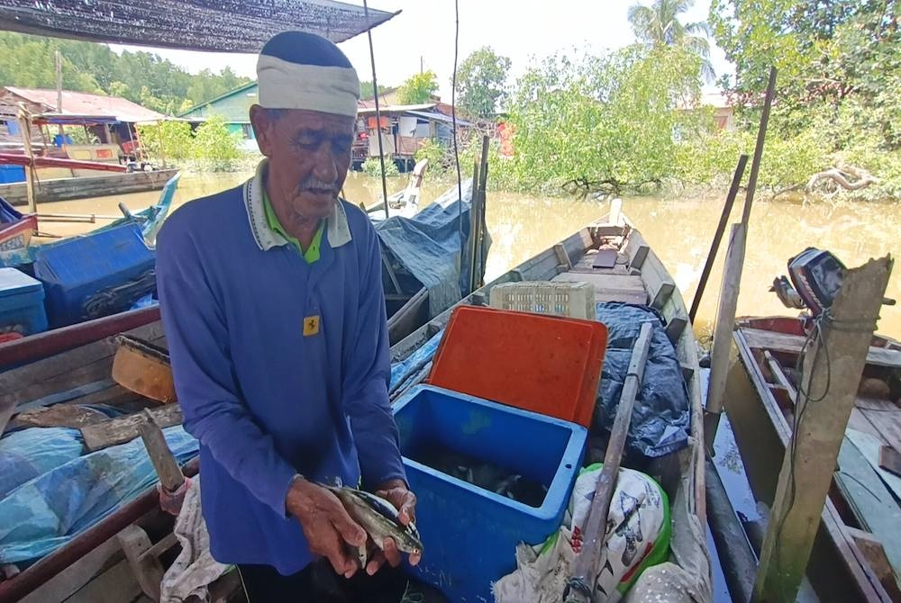 Di usia 78 tahun, Shafie masih mengerah hasil titik peluh sendiri dengan turun ke laut menangkap ikan.