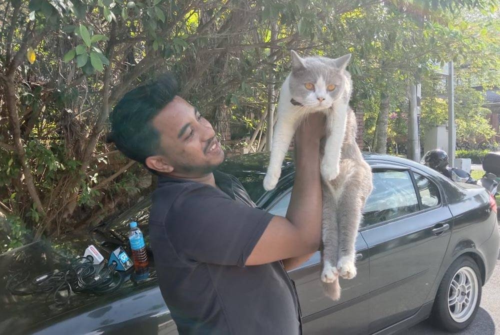 Seorang petugas media memegang kucing milik Anwar yang dikenali sebagai Billy.