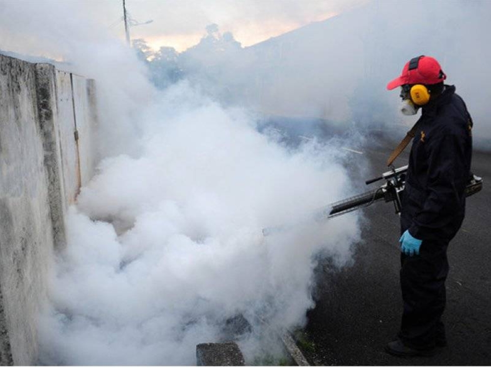 Masyarakat diminta membersihkan kawasan masing-masing dengan menghapuskan tempat pembiakan nyamuk aedes sekali gus dapat mengekang penularan demam denggi. -Gambar hiasan 123RF.