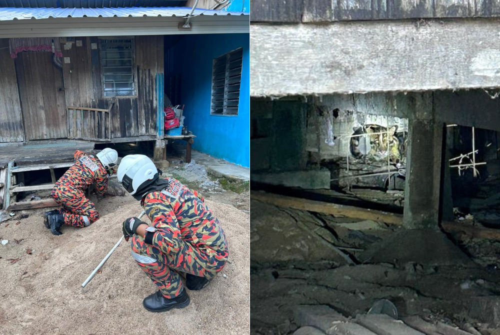 Anggota bomba dari unit kecemasan binatang buas Balai Bomba dan Penyelamat Kuala Lipis ke lokasi mendapati seekor harimau bintang berada di bawah sebuah rumah di hadapan SK Pagar Sasak Lipis pada Khamis. -Foto: Bomba Pahang