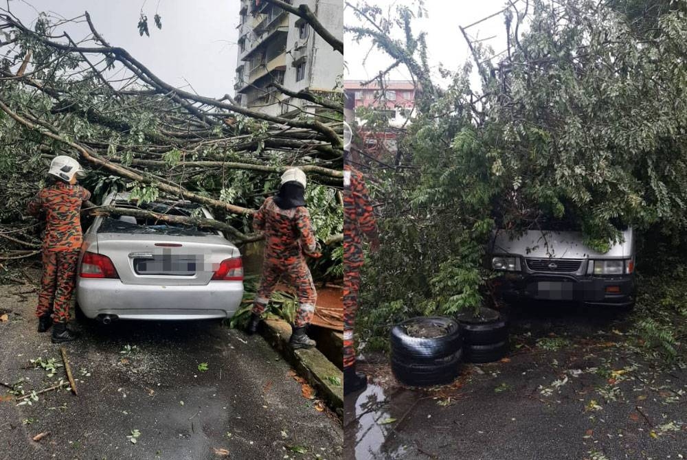 Pokok tumbang menghempap Proton Waja dan Nissan Vanette di pangsapuri Pandan Jaya Jalan Persiaran Pandan 9 pada Ahad.