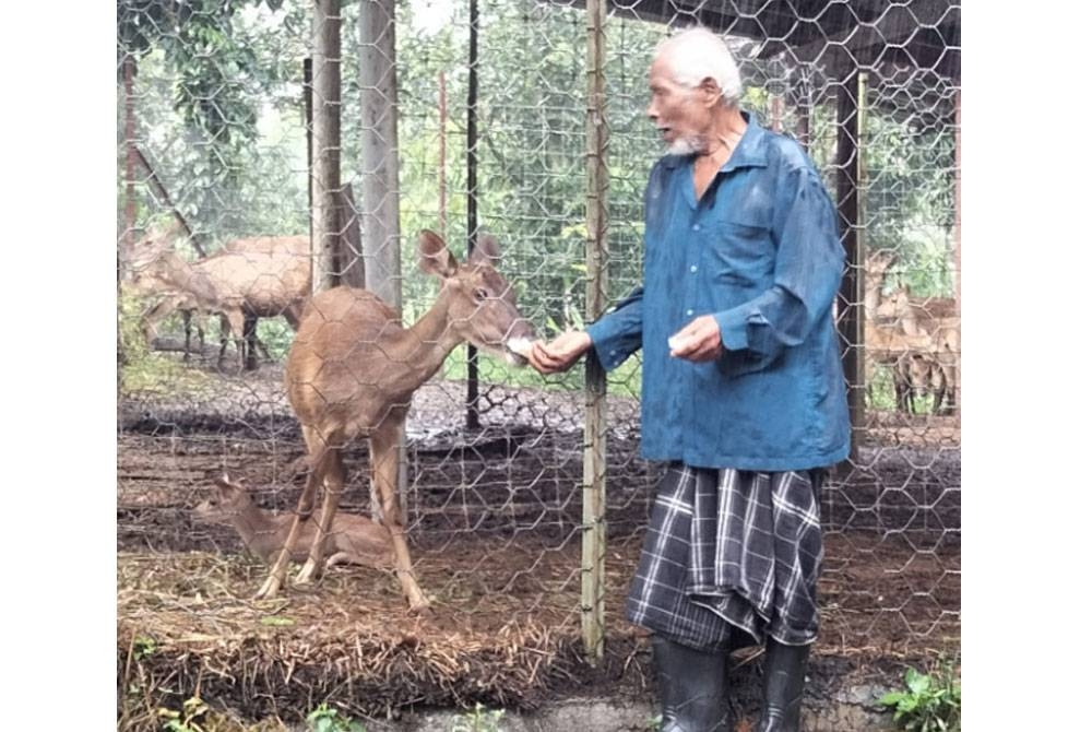 Mat Roni memberi rusanya makan di dalam kandang yang dibina di belakang rumah.