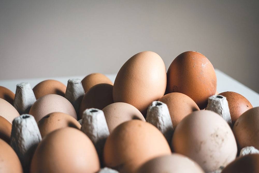 Pengadu mendakwa telur kotor dibeli kerana sukar mendapatkan telur ayam gred kawalan. (Gambar hiasan)