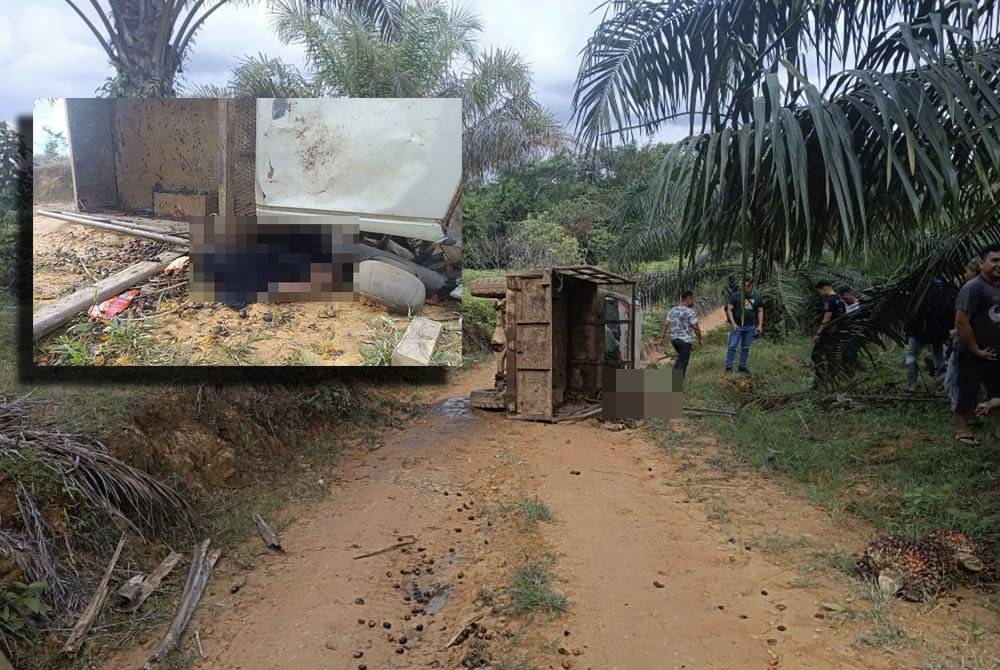 Keadaan Toyota Hilux yang terbabas dan terbalik ketika menuruni bukit. (Gambar dalam : Mangsa tersepit di bawah Toyota Hilux yang terbalik.)