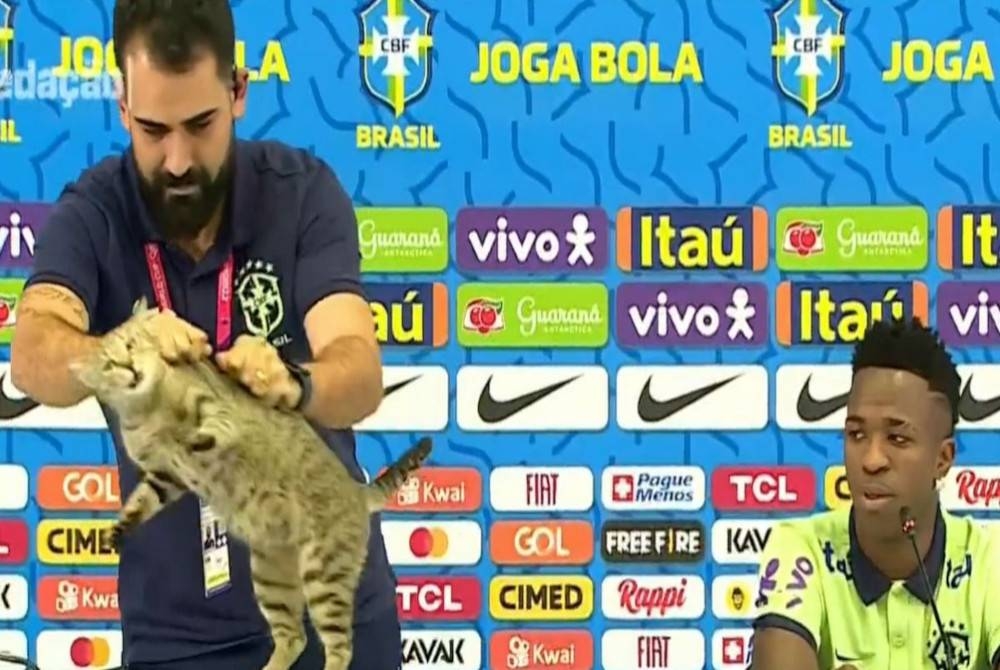 Pegawai media skuad Brazil melempar kucing ke lantai ketika sidang akhbar Vinicius menjelang aksi suku akhir Piala Dunia 2022 menentang Croatia pada Jumaat. - Foto Agensi