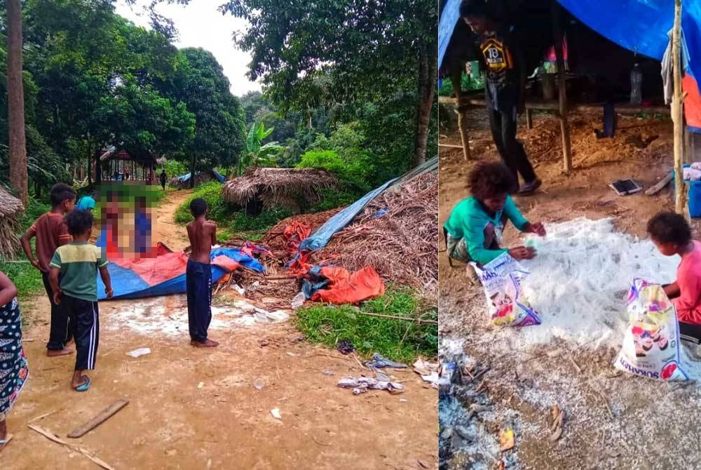 (Gambar kiri) Tempat tinggal yang roboh akibat tindakan gajah jantan menceroboh Kampung Orang Asli Yong dekat Kuala Tahan pada Rabu. (Gambar kanan) Penduduk mengutip beras yang bertaburan akibat kejadian tersebut.