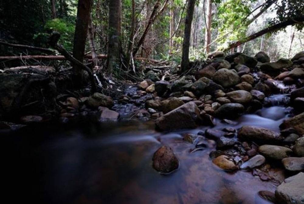 Penutupan itu melibatkan semua tapak perkhemahan yang diuruskan jabatan itu dan pihak operator swasta seperti di Taman Eko-Rimba Lubuk Yu, Maran dan Taman Eko-Rimba Parit Falls, Cameron Highlands.