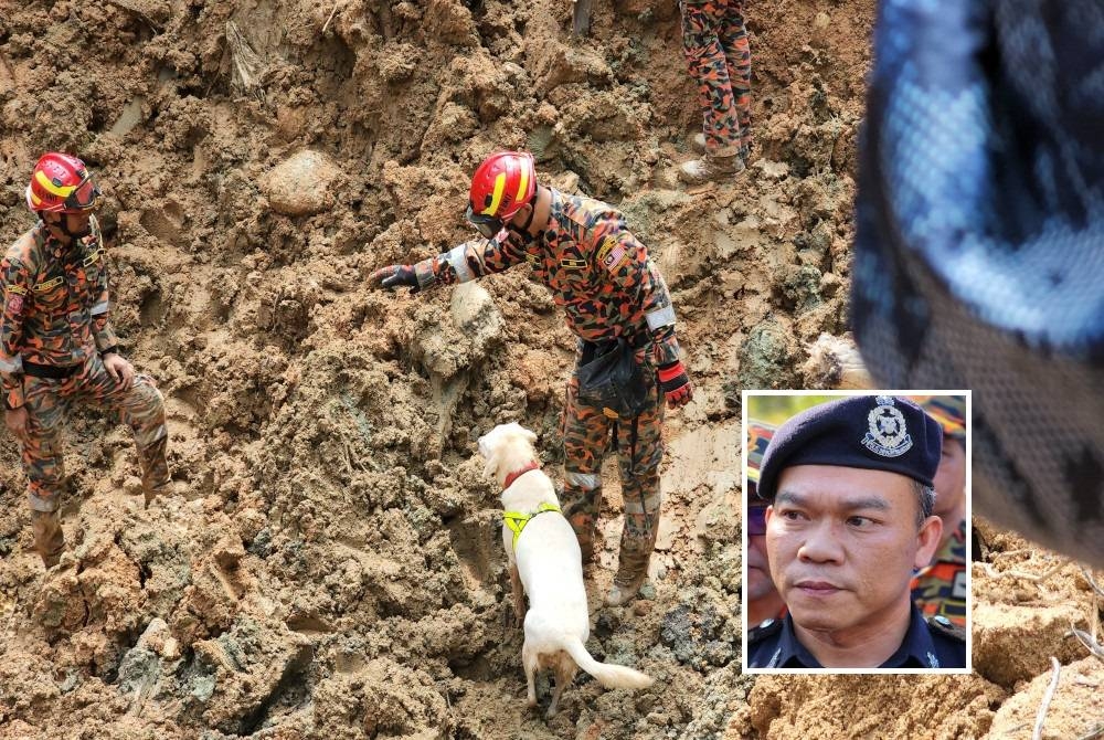 Seekor anjing pengesan (K9) bersama pengendalinya yang terlibat dalam operasi SAR di lokasi kejadian. (Gambar kecil: Suffian)