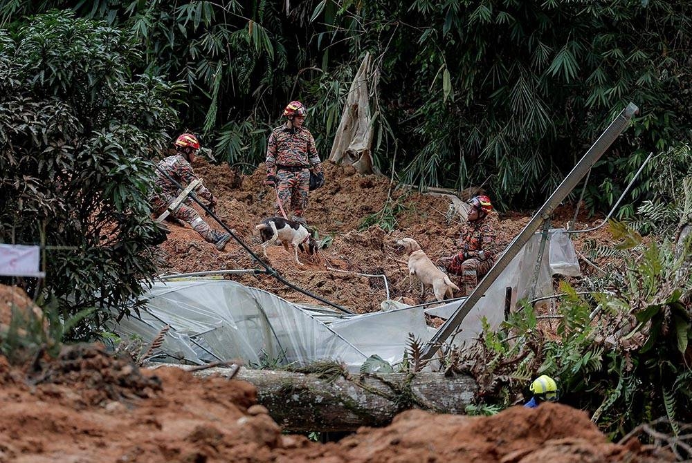 Anggota pasukan Bomba dan Penyelamat Malaysia menggunakan perkhidmatan anjing pengesan untuk mencari dan menyelamat mangsa. -Foto Bernama