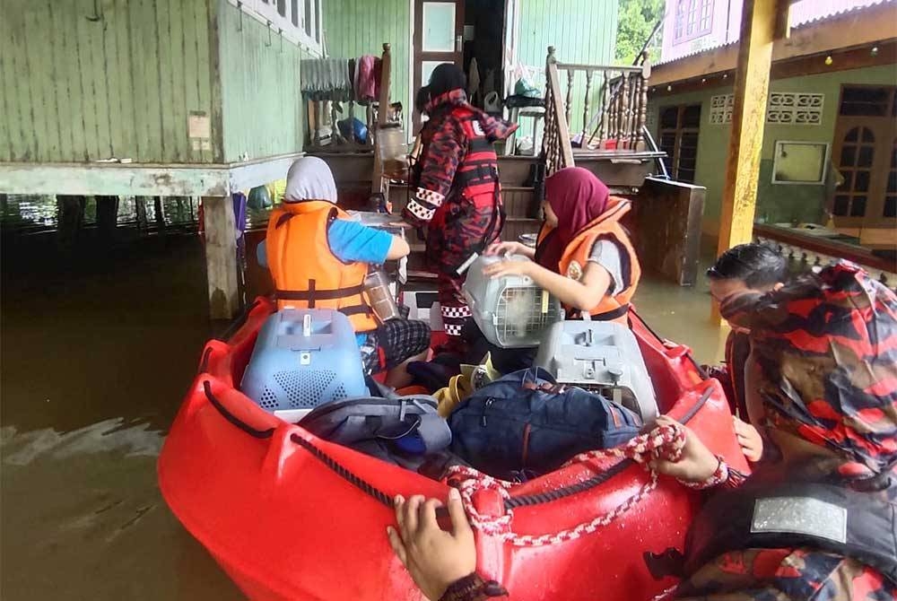 Anggota bomba membantu membawa Hanum dan kucing-kucingnya ke tempat selamat selepas rumahnya dinaiki air pada Selasa. -Foto Bomba