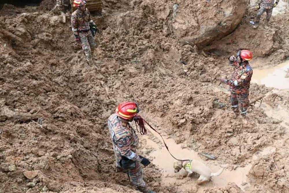 Lokasi penemuan mayat mangsa ke-26 pada Rabu di sektor B iaitu satu lelaki dewasa. Foto: JBPM